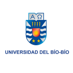 Escudo color gradiente 2
